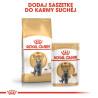 Royal Canin British Shorthair karma mokra w sosie dla kotów dorosłych rasy brytyjski krótkowłosy saszetka 85g - All4Animals