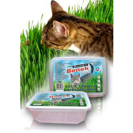 Super Benek Trawka szybkorosnąca dla kota 150g - All4Animals