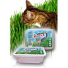 Super Benek Trawka szybkorosnąca dla kota 150g - All4Animals