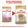 Royal Canin West Highland White Terrier Adult karma sucha dla psów dorosłych rasy west highland white terrier 3kg - All4Animals