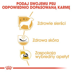 Royal Canin West Highland White Terrier Adult karma sucha dla psów dorosłych rasy west highland white terrier 3kg - All4Animals