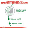 Royal Canin Mini Ageing 12+ karma sucha dla psów dojrzałych po 12 roku życia, ras małych 800g - All4Animals