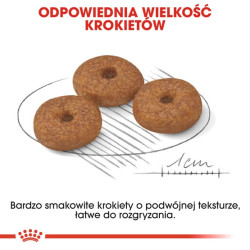 Royal Canin Mini Ageing 12+ karma sucha dla psów dojrzałych po 12 roku życia, ras małych 800g - All4Animals