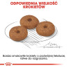 Royal Canin Mini Ageing 12+ karma sucha dla psów dojrzałych po 12 roku życia, ras małych 800g - All4Animals