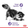 Royal Canin Appetite Control Care karma mokra w galaretce dla kotów dorosłych, domagających się jedzenia saszetka 85g - All4Anim