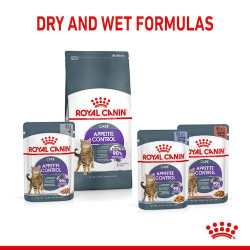 Royal Canin Appetite Control Care karma mokra w galaretce dla kotów dorosłych, domagających się jedzenia saszetka 85g - All4Anim