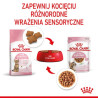 Royal Canin Kitten Sterilised karma mokra w sosie dla kociąt od 6 do 12 miesiąca życia, sterylizowanych saszetka 85g - All4Anima