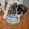 Nina Ottosson Lickin Layers Puppy - gra edukacyjna - All4Animals