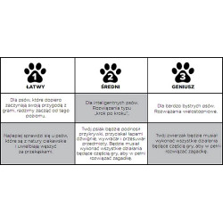 Nina Ottosson Lickin Layers Puppy - gra edukacyjna - All4Animals