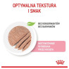 Royal Canin Kitten pasztet (loaf) karma mokra dla kociąt do 12 miesiąca życia saszetka 85g - All4Animals