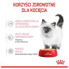 Royal Canin Kitten pasztet (loaf) karma mokra dla kociąt do 12 miesiąca życia saszetka 85g - All4Animals