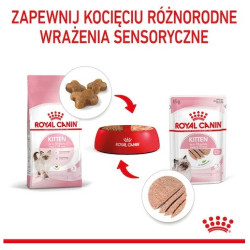 Royal Canin Kitten pasztet (loaf) karma mokra dla kociąt do 12 miesiąca życia saszetka 85g - All4Animals