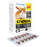 Wita-Vet Kot Energia Junior + Adult 60tabl - All4Animals