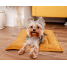 MIMIKO Pets Mata Velvet 70x50cm musztarda - All4Animals