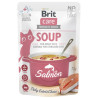 Brit Care Cat Soup Salmon saszetka 75g - All4Animals