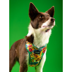 CHABA Szelki Guard Comfort Story III bezuciskowe S 1,6cm Jumbo - All4Animals
