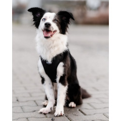 CHABA Szelki Guard Comfort Classic M czarne - All4Animals