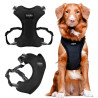 CHABA Szelki Guard Comfort Classic L czarne - All4Animals