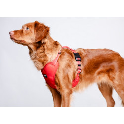 CHABA Szelki Guard Comfort Classic M czerwone - All4Animals