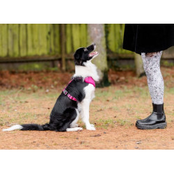 CHABA Szelki Guard Comfort Classic XL fuksja - All4Animals