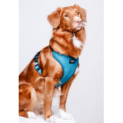 CHABA Szelki Guard Comfort Classic L morskie - All4Animals