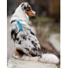 CHABA Szelki Guard Comfort Classic L morskie - All4Animals