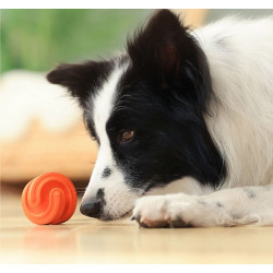 PetDreamHouse Zabawka gumowa Geo-Hex pomarańczowa - All4Animals