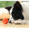 PetDreamHouse Zabawka gumowa Geo-Hex pomarańczowa - All4Animals
