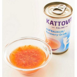 Kattovit Feline Drink Recovery napój 85g - All4Animals