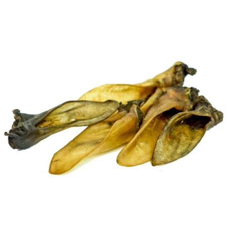 Balto Ucho baranie 2szt - All4Animals