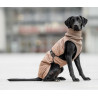 Chaba Kubrak Regulowany Chic XS beige - All4Animals