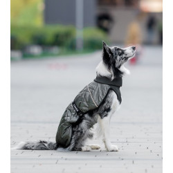 Chaba Kubrak Regulowany Chic L khaki - All4Animals