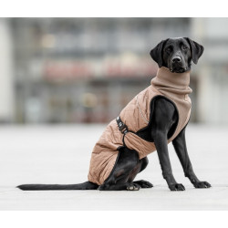Chaba Kubrak Regulowany Chic XL beige - All4Animals