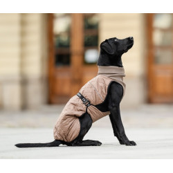 Chaba Kubrak Regulowany Chic 2XL beige - All4Animals