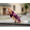 Chaba Kubrak Regulowany Chic 3XL burgundy - All4Animals