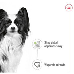 Royal Canin X-Small Adult w sosie saszetka 85g - All4Animals