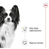 Royal Canin X-Small Adult w sosie saszetka 85g - All4Animals