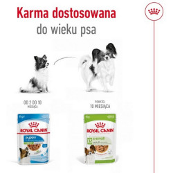 Royal Canin X-Small Adult w sosie saszetka 85g - All4Animals