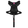 Zolux Szelki ze smyczą automatyczną Easyride XS czarne - All4Animals