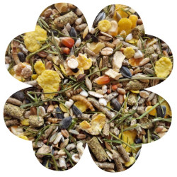 Alegia Enjoy Chomik 400g - All4Animals