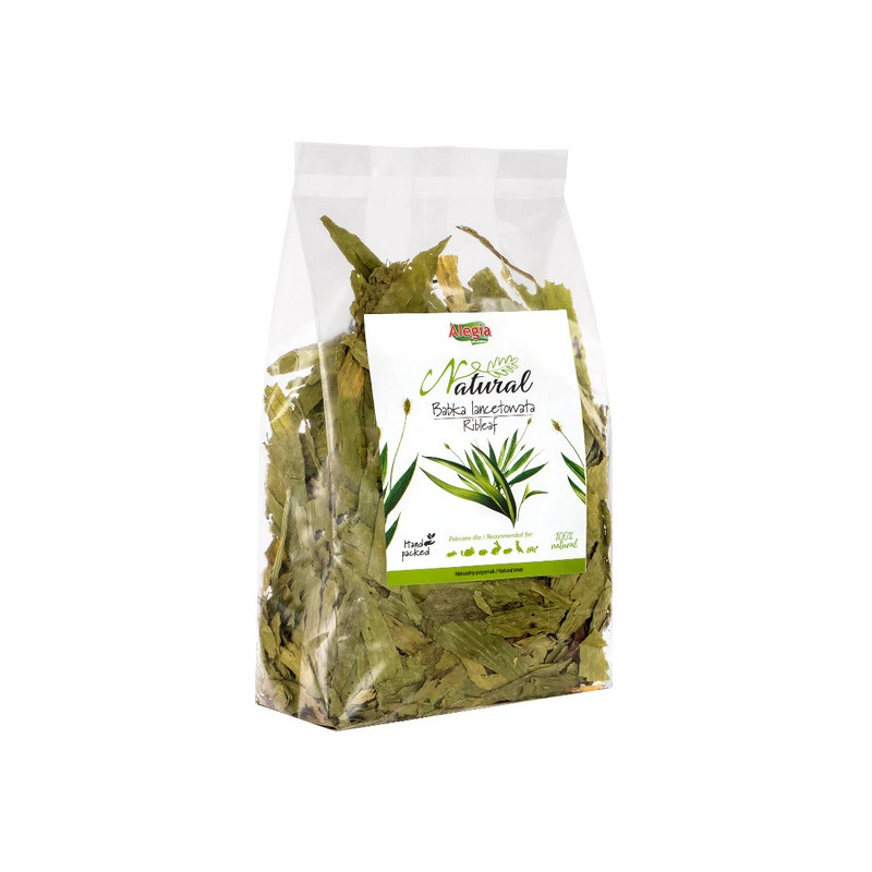 Alegia Babka lancetowata 100g - All4Animals