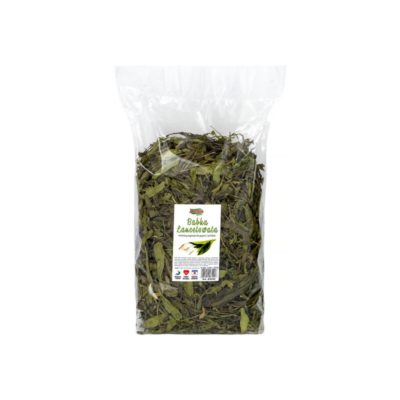 Alegia Babka lancetowata 300g - All4Animals