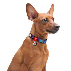 Collar WauDog Nylon Obroża nylonowa z QR-paszportem, plastikowy fastex, wzór NASA21, 20mm/28-40cm - All4Animals