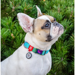 Collar WauDog Recycled Obroża nylonowa z QR-paszportem, gradient L 25mm/33-49cm niebieski - All4Animals