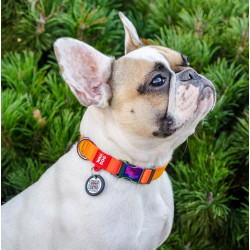 Collar WauDog Recycled Obroża nylonowa z QR-paszportem, gradient S 15mm x 25-35cm pomarańczowy - All4Animals