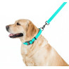 Collar WauDog Waterproof Smycz wodoodporna akumulująca światło M 20mm/183cm - All4Animals