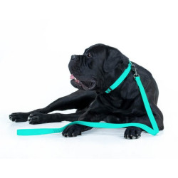 Collar WauDog Waterproof Smycz wodoodporna akumulująca światło M 20mm/183cm - All4Animals