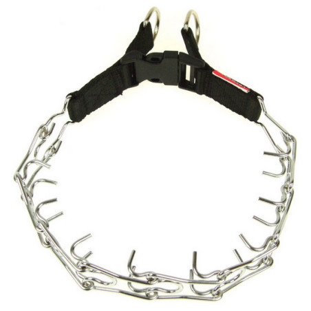 Champion Kolczatka - All4Animals