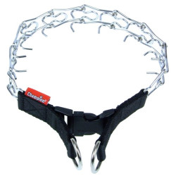 Champion Kolczatka - All4Animals