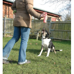 Pet Corrector 200ml - All4Animals